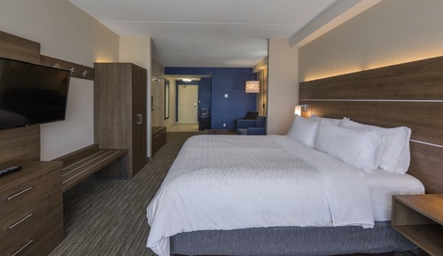 Suite, 1 King Bed with Sofa bed