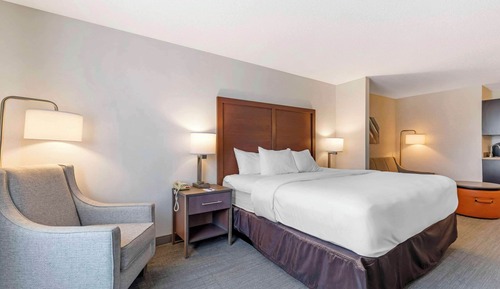 Suite, 1 King Bed with Sofa bed, Non Smoking