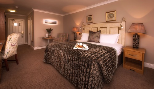 Executive Double Room, 1 King Bed