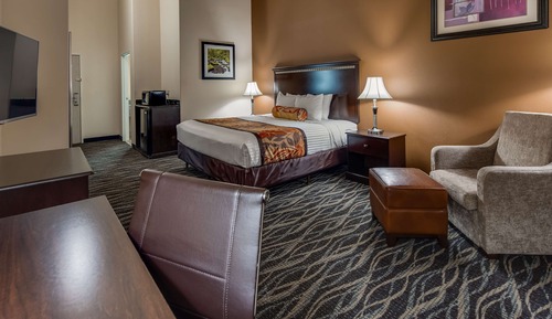Suite, 1 King Bed, Non Smoking, Refrigerator & Microwave (with Sofabed)