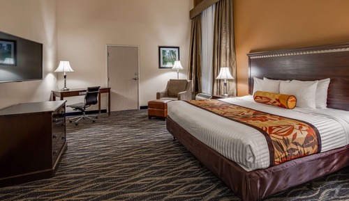 Suite, 1 King Bed, Non Smoking, Refrigerator & Microwave (Theme Room;with Sofabed)