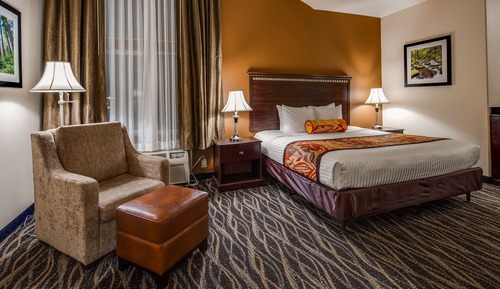 Standard Room, 1 King Bed, Non Smoking, Jetted Tub