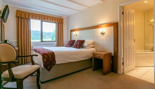 Basic Double Room