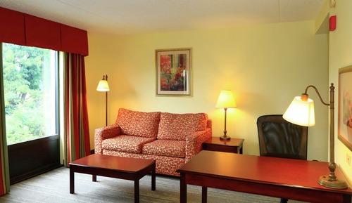 Room, 1 King Bed, Accessible, Non Smoking