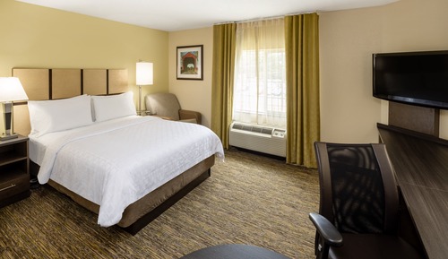 Studio Suite, 1 King Bed