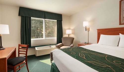 Room, 1 King Bed, Non Smoking