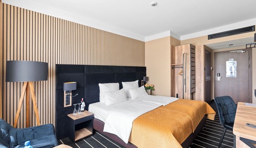 Business Double Room, 1 Queen Bed