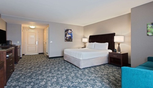 Room, 1 King Bed, Accessible (Roll-In Shower)