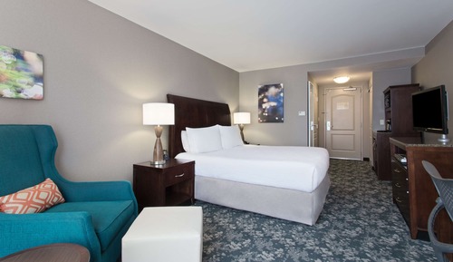 Room, 1 King Bed