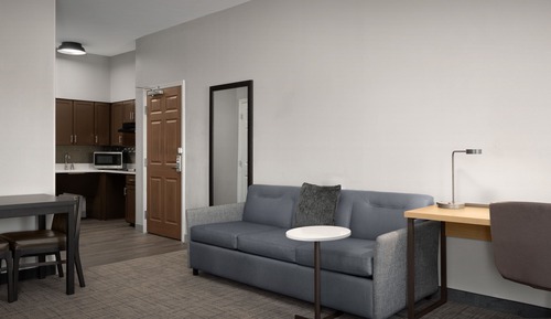 Studio, 1 King Bed with Sofa bed