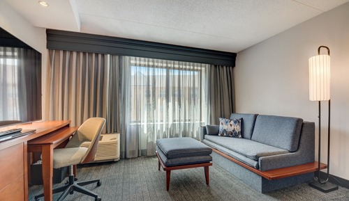 Room, 1 King Bed with Sofa bed (Hearing Accessible)