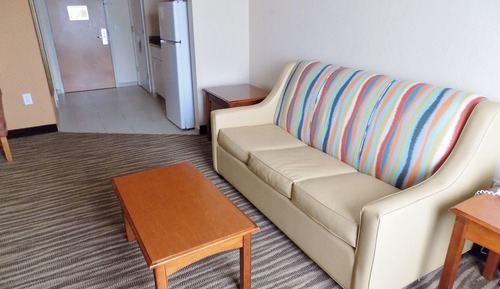 Suite, 1 King Bed, Refrigerator