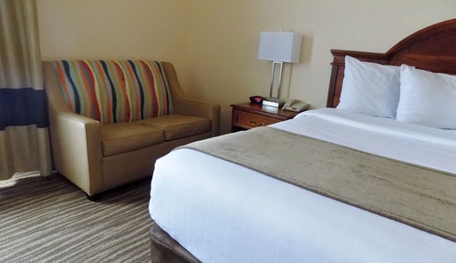 Room, 1 King Bed, Non Smoking