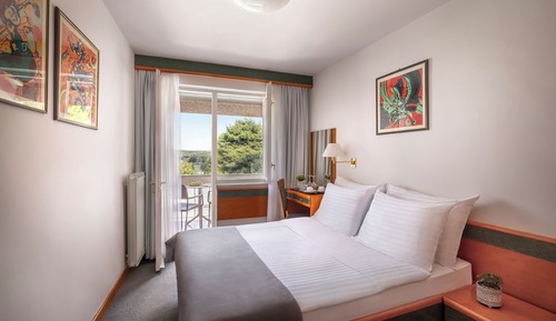 Basic Double Room, Park View, Balcony
