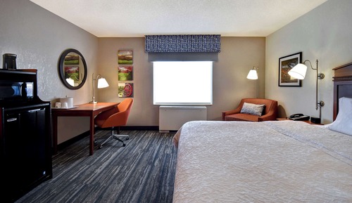 Room, 1 King Bed, Accessible (Mobility & Hearing, Roll-In Shower)