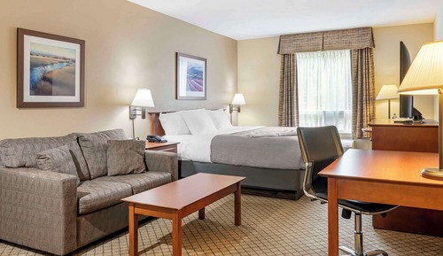 Standard Room, 1 King Bed with Sofa bed, Non Smoking, Hot Tub