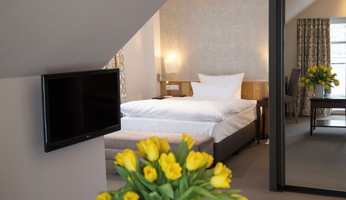 Comfort Single Room