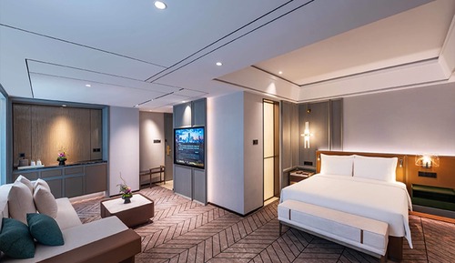 Suite, 1 King Bed, City View