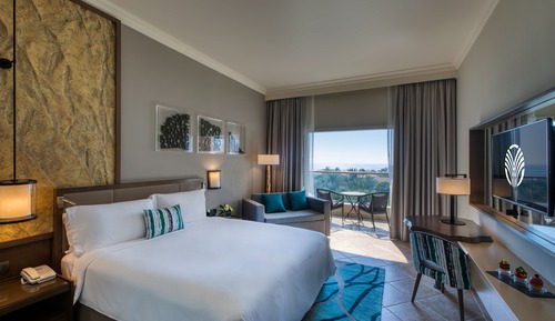 Room, 1 King Bed (Guest)