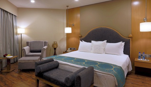 Suite, 1 Queen Bed, Garden View (Deluxe Suite)