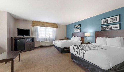 Standard Double Room, 2 Double Beds, Non Smoking