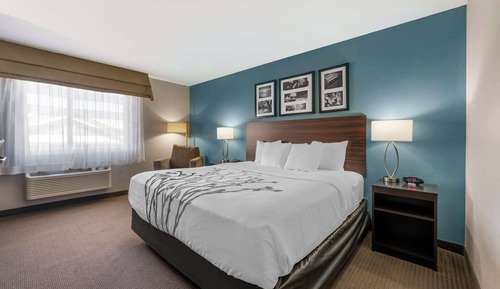 Standard Room, 1 King Bed, Non Smoking