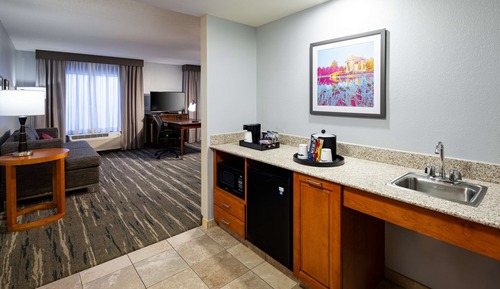 Studio Suite Handicap Accessible Roll-In Shower, 1 King Bed with Sofa Bed, Non Smoking