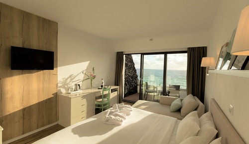 Basic Double or Twin Room