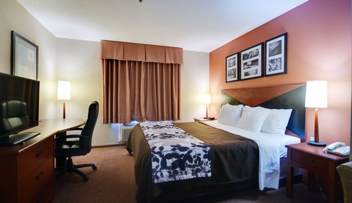 Standard Room, 1 King Bed, Non Smoking
