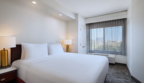 Suite, 1 King Bed with Sofa bed