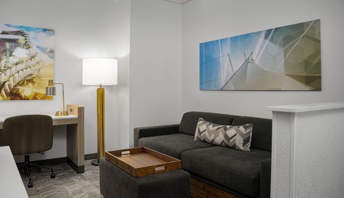 Studio, 1 King Bed with Sofa bed