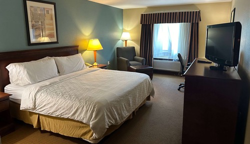 Room, 1 King Bed, Non Smoking