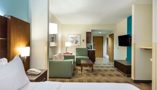Suite, 1 King Bed