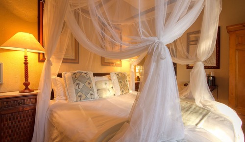 Basic Twin Room