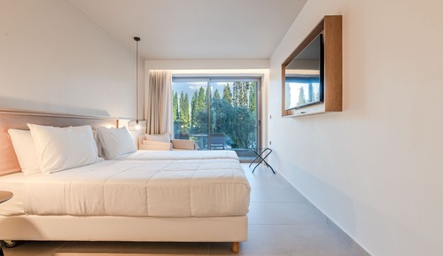Executive Room with Garden View