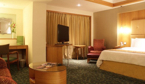 Executive Studio, 1 Double Bed