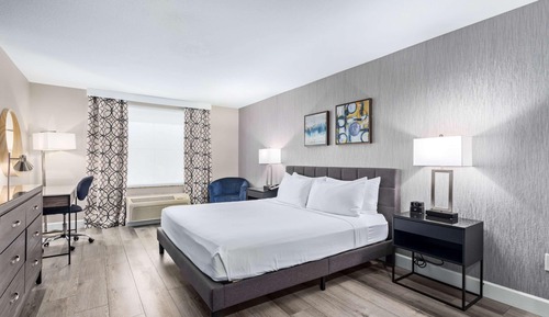 Standard Room, 1 King Bed, Refrigerator & Microwave, View