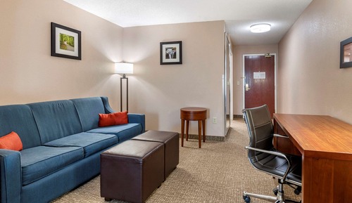 Suite, 1 King Bed with Sofa bed, Non Smoking