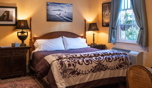 Deluxe Suite, 1 Bedroom, Courtyard View, Garden Area