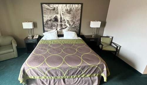 Room, 1 Queen Bed, Non Smoking