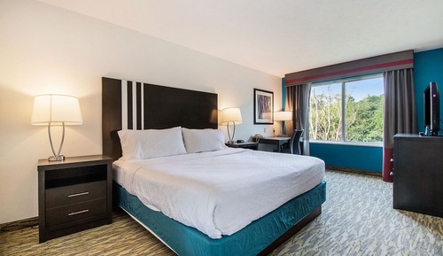 Standard Room, 1 King Bed