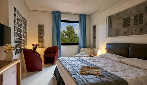 Superior Double or Twin Room