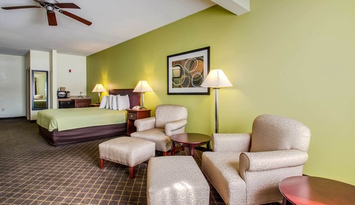 Standard Room, 1 King Bed, Non Smoking, Refrigerator & Microwave (with Single Sofabed;Larger Room)