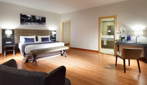Triple Room (Niño, Sofá cama)