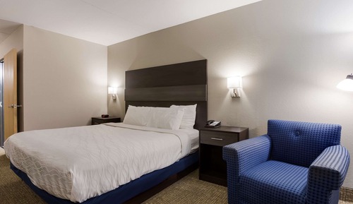 Room, 1 King Bed, Non Smoking