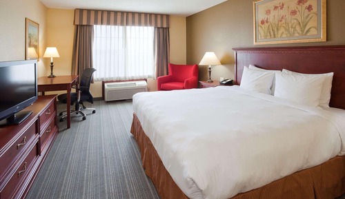 Room, 1 King Bed, Non Smoking