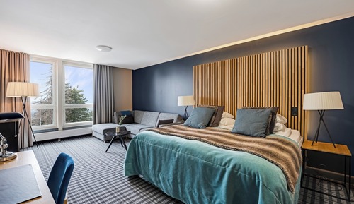 Superior Room, 1 King Bed (Extra bed possible)