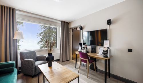 Junior Suite, 1 King Bed (Two extra beds possible)