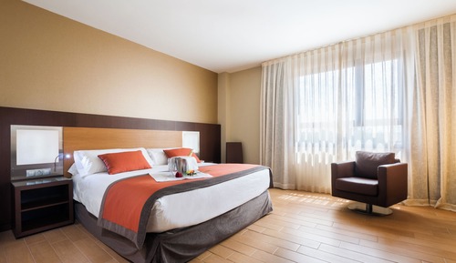 Superior Double or Twin Room