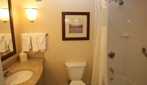 King Junior Suite, One King Bed & Full Size Sofa Sleeper